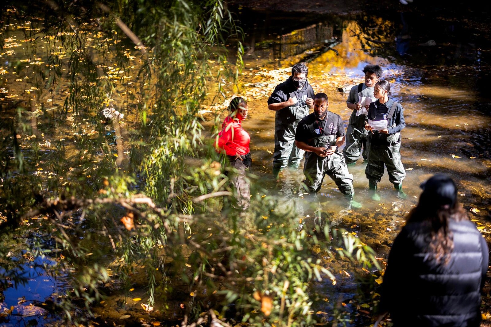 student wading in water studying environment