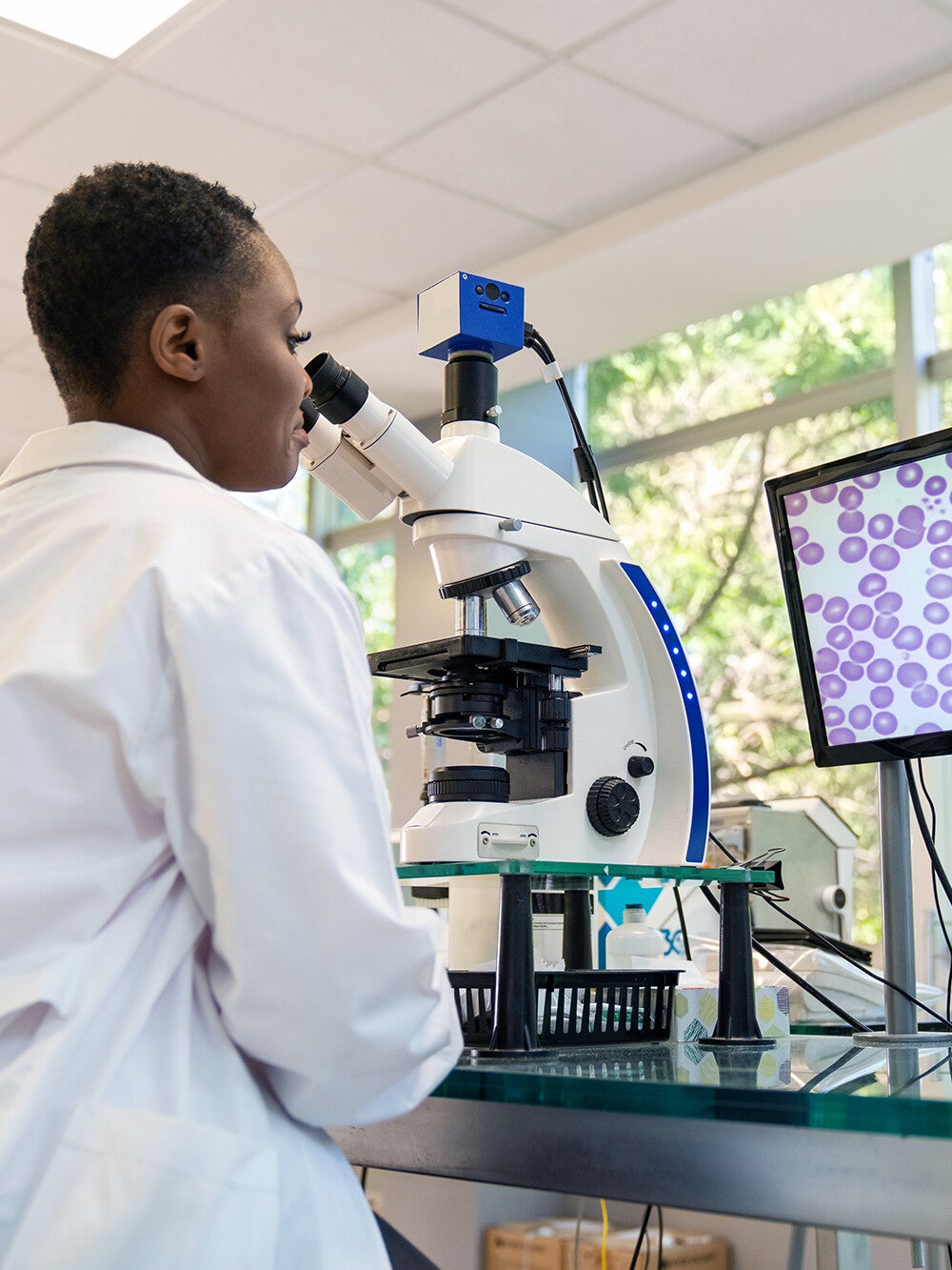 lab technician sitting at a microscope