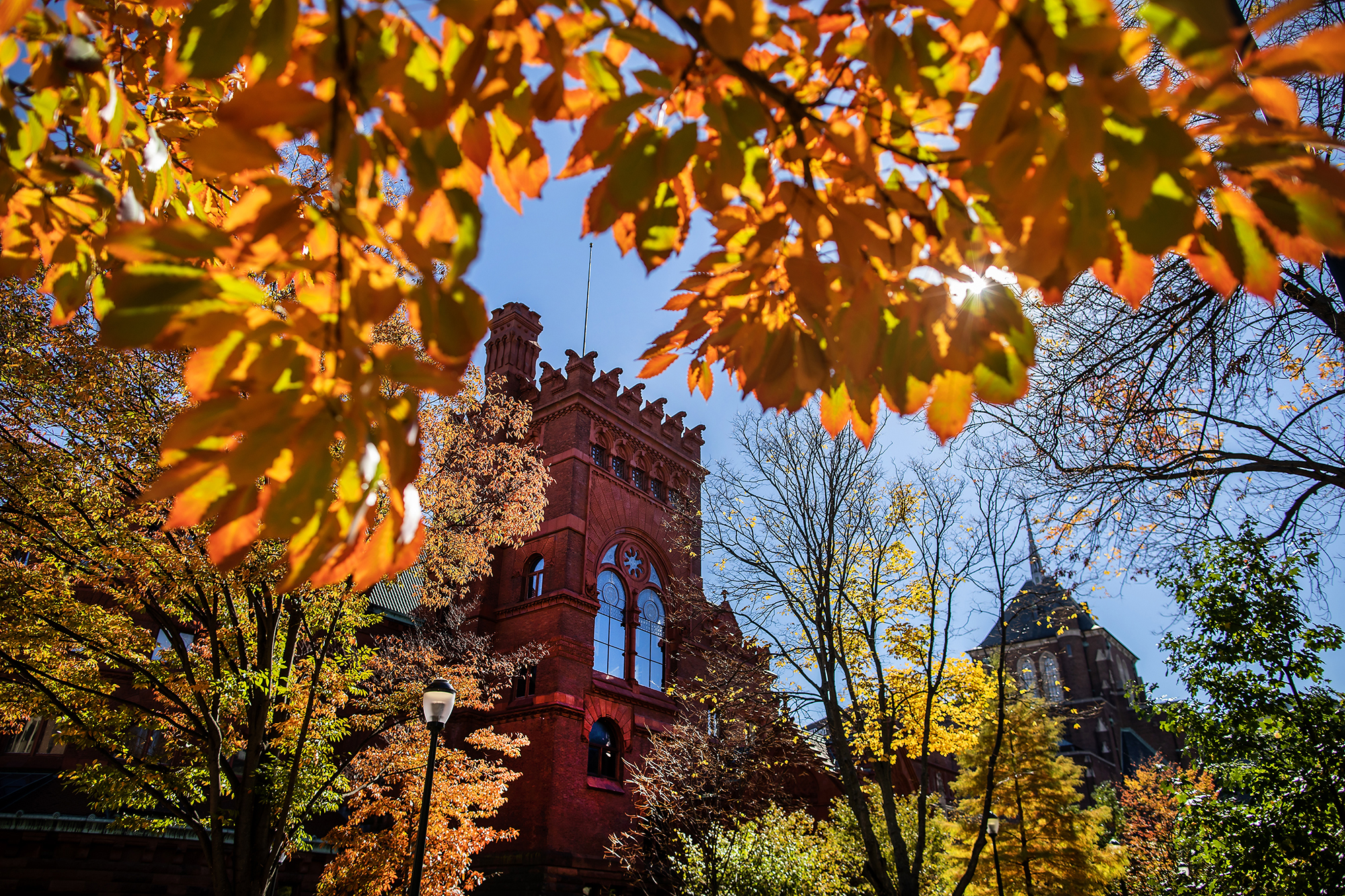 fisher fine arts through autumn leaves