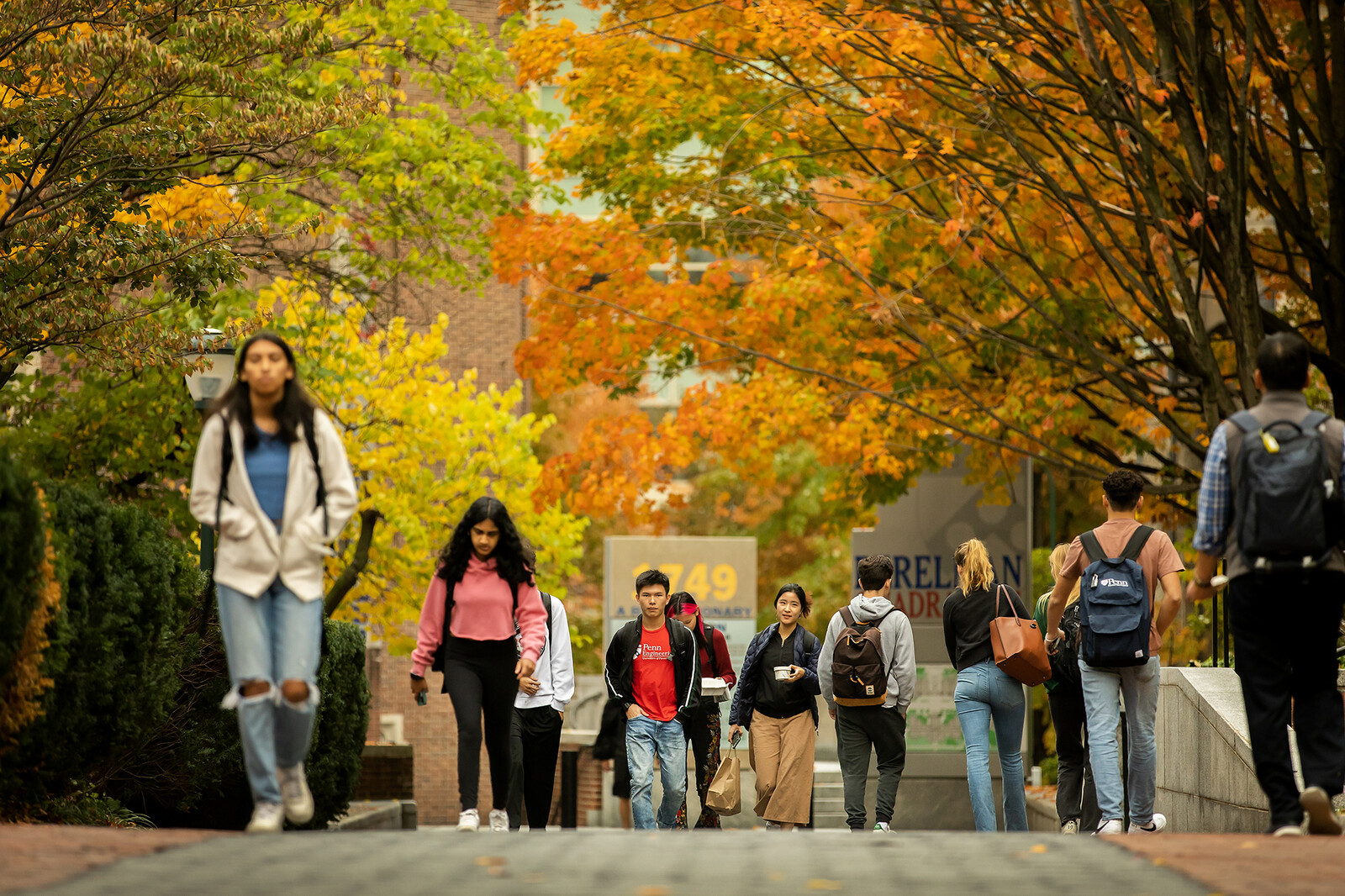 Undergraduate | University Of Pennsylvania