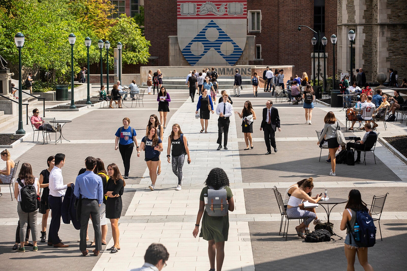 Undergraduate  University of Pennsylvania