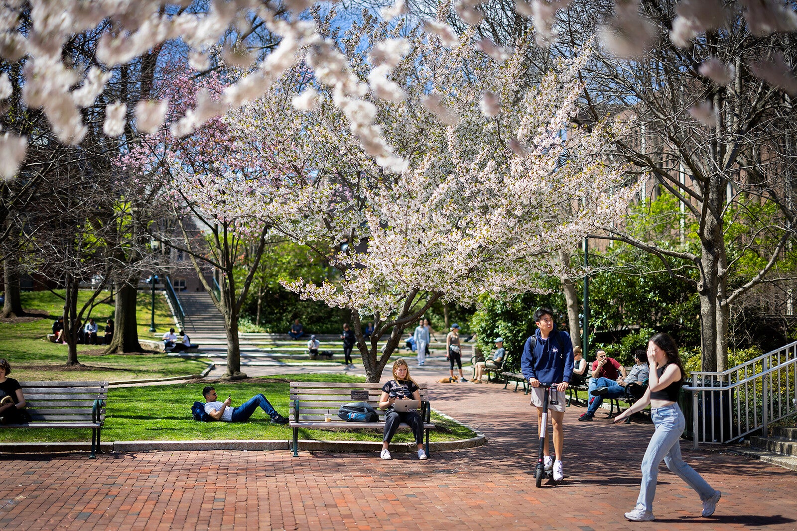 spring on campus in front of van pelt library