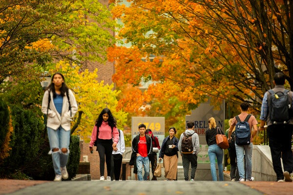 perelman quad in the fall