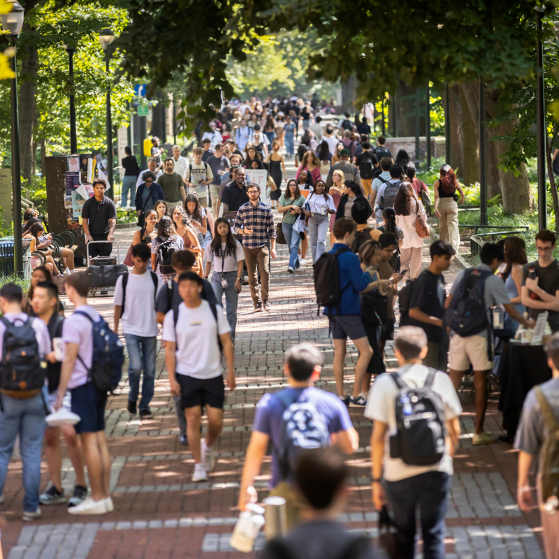 Large group of students walking down Locust Walk on the first day of class