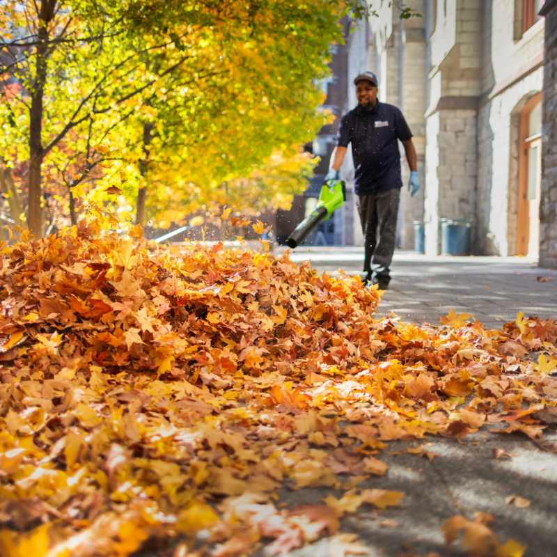 Penn groundskeeper moving a pile of orange leaves with a leaf blower