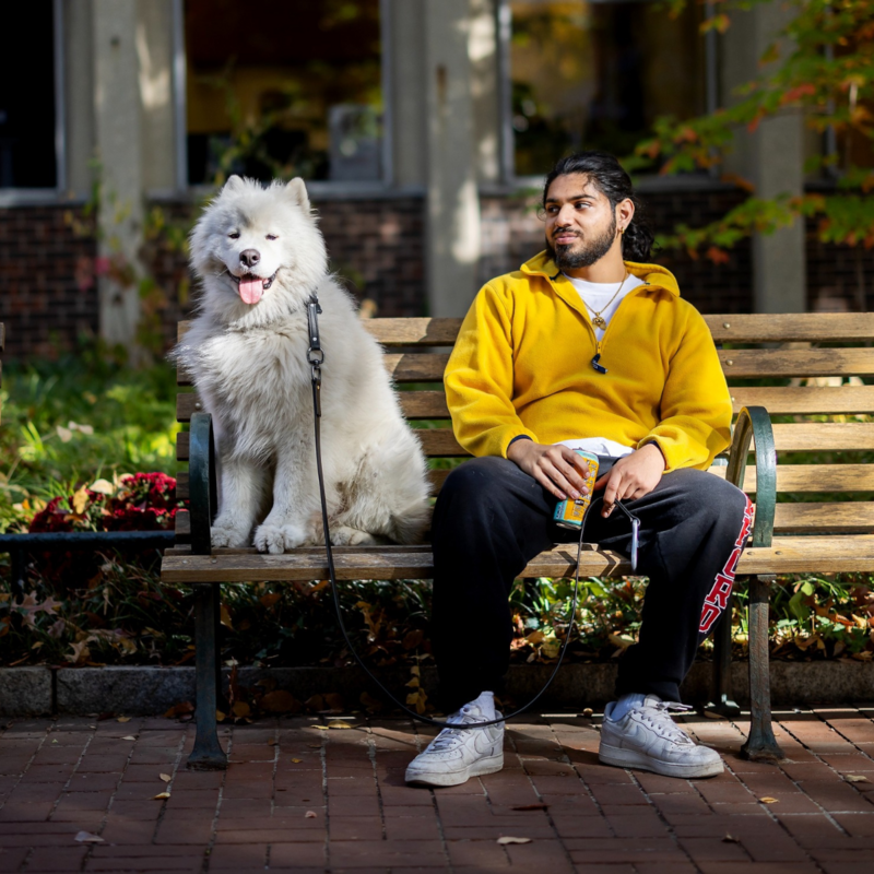 Rambo, a 2-year-old Samoyed, with his owner, Bharath Namboothiry sitting on a bench on Penn's campus.