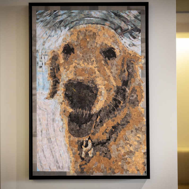 An art piece of a golden retriever, made up of photos of nearly 500 shelter dogs who received lifesaving care from Penn Vet.